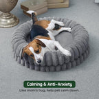 BALANCE Luxury Donut Dog Bed, 30 Inches Round Dog Bed Medium Size Dogs Washable, Orthopedic Calming Dogs Bed for Pets with Anti-Slip Bottom, Gray