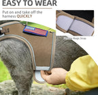 PUPTECK Soft Mesh Cat Vest Harness and Leash Set Puppy Padded Pet Harnesses Escape Proof for Cats Small Dogs Rabbits Bunny, Tactical Yellow, XL