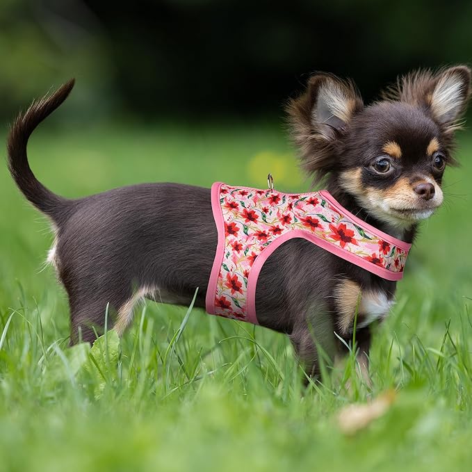 Mile High Life Dog Harness, Air Mesh Floral Vest Harness for 20 lbs Small Dogs & Cats, Easy Get on Adjustable Easy Closures Both Neck and Chest(Lily, XS Chest 14"-16")