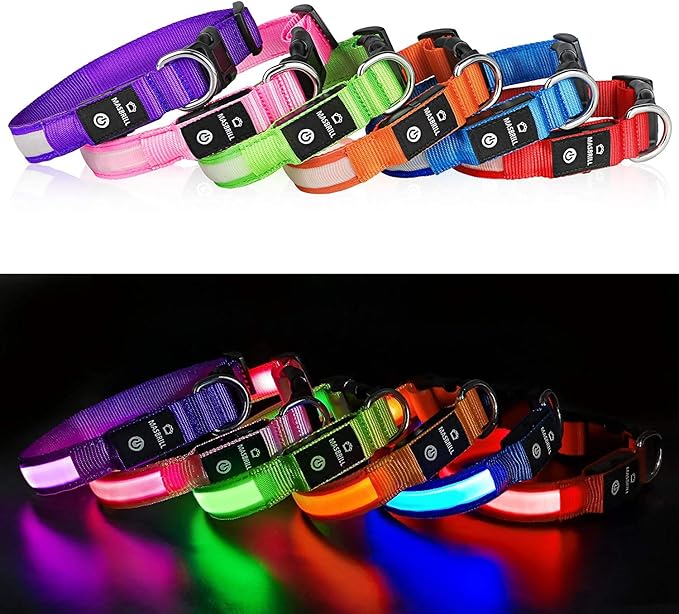 MASBRILL Led Dog Collar - Light Up, Night Walking, Water-Resistant Blue Glowing Collar 4 Colors to Choose From