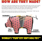 TUFFY - World's Tuffest Soft Dog Toy - Zoo Bear - Squeakers - Multiple Layers. Made Durable, Strong & Tough. Interactive Play (Tug, Toss & Fetch). Machine Washable & Floats. (Regular 2 Pack)
