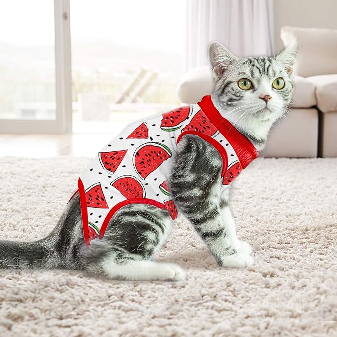 Cat Professional Surgical Recovery Suit,E-Collar Alternative for Cats Dogs,After Surgery Wear, Pajama Suit,Home Indoor Pets Clothing (M (6-8 1bs), Watermelon)