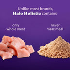 Halo Holistic Cage Free Chicken Cat Food, Healthy Grains Dry Cat Food, Complete Digestive Health, Kibble for Adult Cats, 10 lb Bag