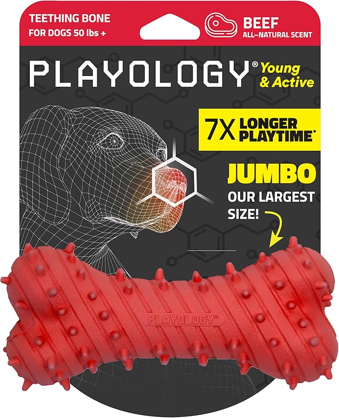 Playology Dog Toys | Puppy Toy Teething Bone Designed for Young & Active Dogs | Jumbo Beef Scented Toy Made from Non Toxic Materials