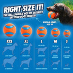 Chuckit! Ultra Ball Dog Toy - Medium Bouncy Fetch Balls For Dogs 20-60 lbs - Made from Durable Rubber - Floating Water Pet Toys - Size Medium - 2.5-inch Diameter - Pack of 4