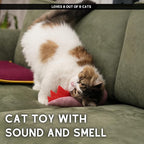 Large Cat Toy Dino, Catnip Matatabi Silvervine Filled Help Relief Stress Interactive Indoor Cat Kicker with Bell and Smell(Pink)