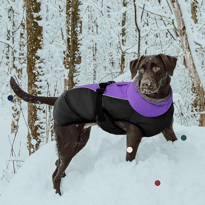 IECOii Extra Warm Dog Coat Reflective Adjustable Dog Jacket Dog Winter Coat with Buckle Fleece Turtleneck Dog Jacket for Cold Weather Soft Winter Coat for Small Medium Extra Large Dogs