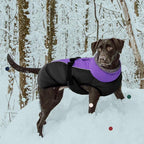 IECOii Extra Warm Reflective Dog Coat - Adjustable Winter Jacket with Buckle & Fleece Turtleneck for Small to Extra Large Dogs