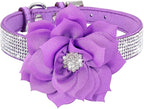 Serijoars Small Dog Collar with Rhinestone Crystal Diamond Colorful Bling Girl Puppy Cat Collars (XXS, Purple6)