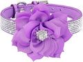 Serijoars Small Dog Collar with Rhinestone Crystal Diamond Colorful Bling Girl Puppy Cat Collars (M, Purple6)