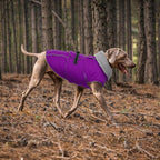 Lelepet Warm Dog Winter Coats for Extra Large Dogs Waterproof Dog Jacket Reflective Pet Fleece Vest Windproof Cold Weather Coats with Adjustable Buckle & Leash Hole, Purple, XXXL