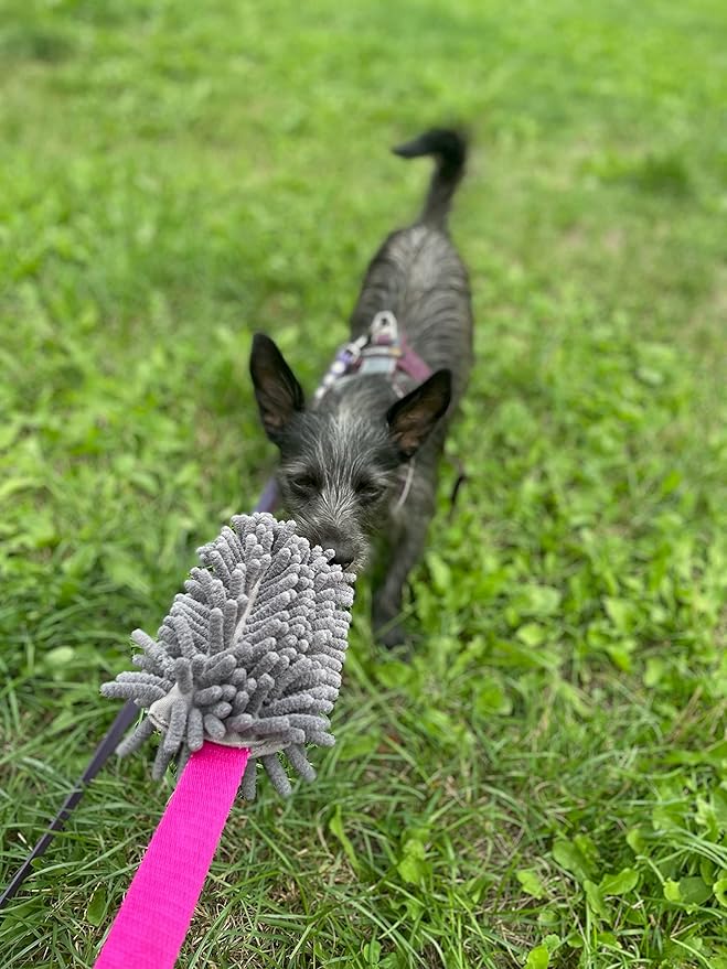 Dingo Dog Tug of War Toy - Outdoor Dog Toy with Long Lead for Training, Shaggy Dog Toy, Soft Nubby-Textured, Noodle Plush with, Motivation and Fun 15577, Assorted Colors