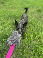 Dingo Dog Tug of War Toy - Outdoor Dog Toy with Long Lead for Training, Shaggy Dog Toy, Soft Nubby-Textured, Noodle Plush with, Motivation and Fun 15577, Assorted Colors