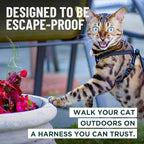 Houdini™ Escape Proof Kitten Harness and Leash Set by OutdoorBengal – Turquoise, Small Cat Harness for Walking