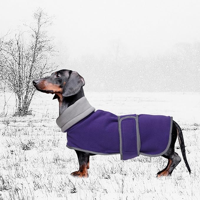 Geyecete Dachshund Sweaters for Dogs Jacket,Dachshund Coat Perfect Dog Winter Coat with Padded Fleece Lining,high Collar,Dog Snowsuit-Purple-M