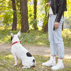 Dogline Biothane Waterproof Dog Leash Strong Coated Nylon Webbing with Black Hardware Odor-Proof Easy to Clean High Performance for Small or Large Dogs Made in USA 4 or 6 ft Lead, Safety Yellow