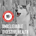 BIXBI Rawbble Freeze Dried Dog Food, Beef Recipe, 12 oz - 98% Meat and Organs, No Fillers - Pantry-Friendly Raw Dog Food for Meal, Treat or Food Topper - USA Made in Small Batches