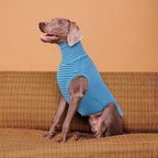 ROZKITCH Dog Sweaters for Medium Dogs Boy Girl,Soft Stretchy Turtleneck Pullover for Medium, Warm Winter Coat for BlueStripe M