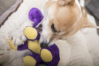 goDog Dinos Bruto Squeaky Plush Dog Toy, Chew Guard Technology - Purple, Small