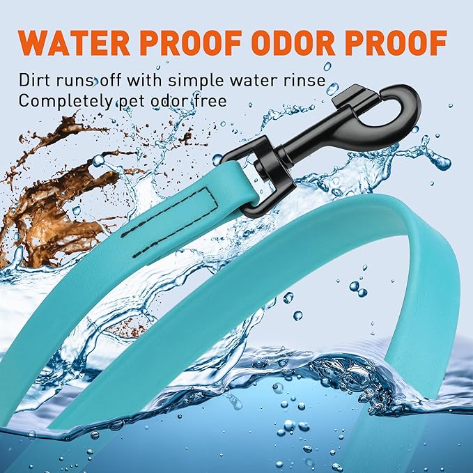 Dogline Biothane Waterproof Dog Leash Strong Coated Nylon Webbing with Black Hardware Odor-Proof Easy to Clean High Performance for Small or Large Dogs Made in USA 2 ft Lead, Sky Blue