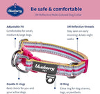 Blueberry Pet Safety Dog Collar with Dual D-Rings | 3M Reflective Multi-Colored Adjustable Collar in Pink and Pastel Blue | Soft Nylon Dog Collar for Active Small Dogs