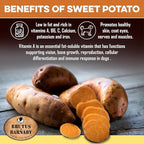 BRUTUS & BARNABY USA Sweet Potato Dog Treats - Grain Free, Peanut Butter Crunchy Sticks are Great Tasting, Promotes Positive Dog Gut Health with Natural Anti-Diarrhea Properties,(2lb Bag)
