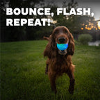Outward Hound by Planet Dog Strobe Light Up LED Ball Dog Toy, Blue
