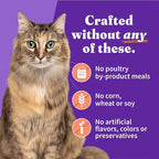 Halo Adult Wet Cat Food, Grain Free, Chicken Shrimp & Crab Stew 5.5oz Can (Pack of 12)