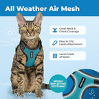 Voyager Escape Proof Cat Harness and Leash Set with Reflective Stitching, Neoprene Handle 5ft - Supports Small, Medium and Large Cats, Kittens for Walking by Best Pet Supplies - BT-Turquoise, S