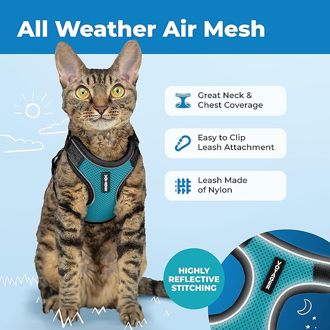 Voyager Escape Proof Cat Harness and Leash Set with Reflective Stitching, Neoprene Handle 5ft - Supports Small, Medium and Large Cats, Kittens for Walking by Best Pet Supplies - BT-Turquoise, S