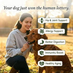 Dog Supplies - Dog Multivitamin Powder with Chondroitin, Omega 3, Probiotics for Hip & Joint Support, Skin & Coat Health, and Digestion. Easy-Mix Powder Supplement for Dogs - 250g