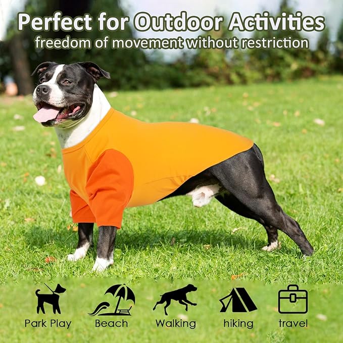 2 Pack Dog Shirt for Medium Dogs - Soft Breathable Summer Cool Tee, Lightweight Comfortable Clothes for Sensitive Skin, Jack Russell, Shihtzu, Indoor Lounging, Walking, Park Play, Orange