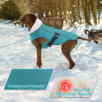 EMUST Dog Jacket Winter, Cozy Windproof Pet Jacket for Cold Weather, Solid Color Dog Vests for Winter for Medium Dogs, Turquoise, M