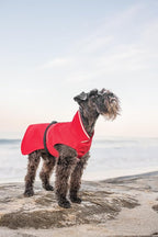 Goldpaw Rainpaw Waterproof Dog Raincoat - Durable Dog Rain Jacket for All Seasons - Easy to Wear, Adjustable, Premium Pet Outerwear - Made in The USA - Machine Washable - Pink - Size 22