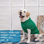Mihachi Turtleneck Dog Sweater - Winter Coat Apparel Classic Cable Knit Clothes with Leash Hole for Cold Weather, Ideal Gift for Pet in New Year Green 2XL