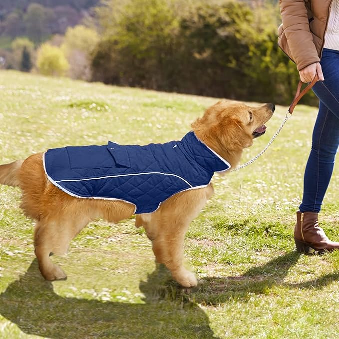 Malier Dog Winter Coat, Windproof Dog Cold Weather Coats with Real Pocket, Winter Extra Warm Pet Coat Fleece Jacket Reflective Clothes for Small Medium Large Dogs and Puppy (Blue, X-Small)