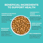 KOHA Limited Ingredient Bland Diet Dry Food for Dogs - Chicken & Brown Rice Recipe, Sensitive Stomach Dog Food - Pumpkin for Digestive Support, 3.5 lbs