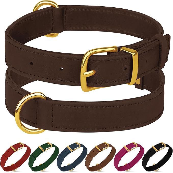 Leather Dog Collar - Heavy Duty Adjustable Soft Padded Pet Collars for Small Medium Large Dogs Breed - Black Green Brown Pink Red Blue (Brown, S, 9"-12" Neck Fit)