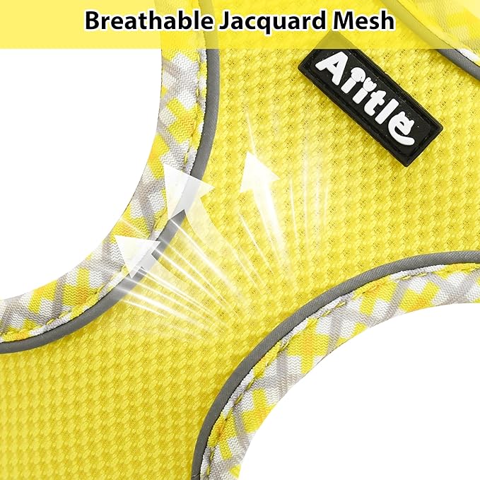 AIITLE XXS Dog Harness & Leash Set - Breathable Reflective No-Choke Small Dog Harness for Teacup Puppies, Indoor/Outdoor Use - Boston Terrier, Maltese, Chihuahua (Yellow, XXS)