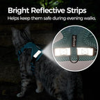 Cat Harness and Leash Escape Proof Extra Large Kitten Harness Maine Coon Cat Vest for Walking Travel, Turquoise, XL