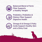 Wellness Complete Health Small Breed Dry Dog Food with Grains, Natural Ingredients, Made in USA with Real Turkey, For Dogs Up to 25 lbs (Adult, Healthy Weight Turkey & Rice, 4-Pound Bag)