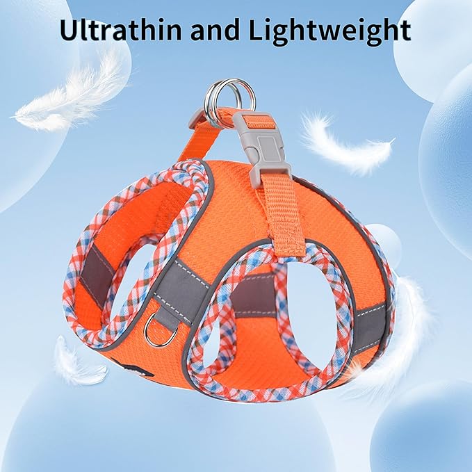 AIITLE XXS Dog Harness & Leash Set - Breathable Reflective No-Choke Small Dog Harness for Teacup Puppies, Indoor/Outdoor Use - Boston Terrier, Maltese, Chihuahua (Orange, XXS)