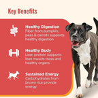 Nutrish Gentle Digestion Premium Paté and Chunks in Gravy Variety Pack Wet Dog Food, 13 oz. Can, 12 Count (Rachael Ray)