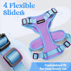 rabbitgoo Cat Harness and Leash Set, Escape Proof Soft Adjustable Vest Harnesses for Outdoor Walking, Easy Control Breathable Kitten Jacket with Reflective Strips, Purple & Blue, XS