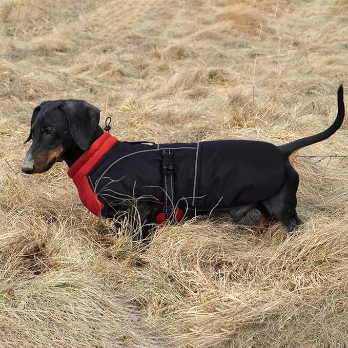 Lelepet Dachshund Coat Warm Dog Winter Coat Waterproof Dog Jacket with Fleece Lining, Reflective Outdoor Dachshund Snowsuit with Leash Hole Adjustable Neckline,Coats for Small Medium Dogs,Red, XS