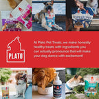 PLATO Pet Treats Jerky Dog Treats - Air-Dried Jerky for Dogs - Delicious, Real Meat Dog Treats - Grain Free - Supports Healthy Digestion - Chicken Jerky with Pumpkin 16oz