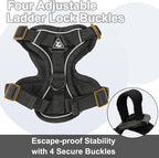 Cat Harness and Leash, Reflective Cat Harness Escape Proof for Walking, Adjustable Kitten Harness and Leash Set, 4 Buckles Easy Control Breathable Cat Vest Harness for All Types of Cats