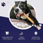 Devil Dog Pet Co. Bully Sticks – 6 Inch, 5 Pack, Standard Sized Dog Chews, 100% Natural, Single Ingredient, Free-Range Grass-Fed Beef – Long Lasting, Rawhide-Free Treats for Dogs