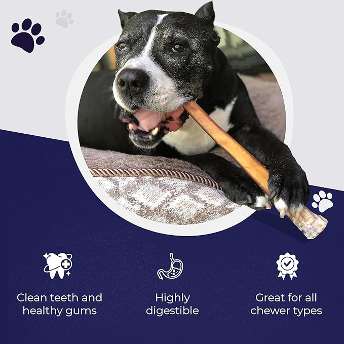 Devil Dog Pet Co. Bully Sticks – 6 Inch, 5 Pack, Standard Sized Dog Chews, 100% Natural, Single Ingredient, Free-Range Grass-Fed Beef – Long Lasting, Rawhide-Free Treats for Dogs
