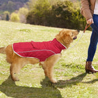 Malier Dog Winter Coat, Windproof Dog Cold Weather Coats with Real Pocket, Winter Extra Warm Pet Coat Fleece Jacket Reflective Clothes for Small Medium Large Dogs and Puppy (Red, Small)
